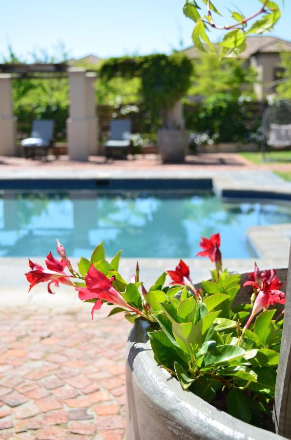La Bella Vita Studios Paarl Exterior foto
